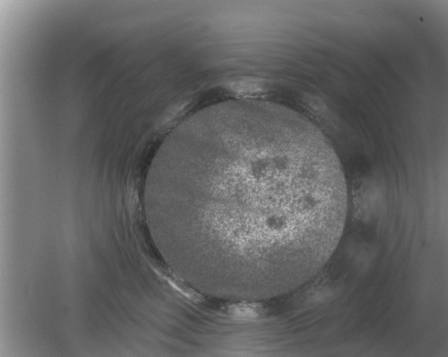 X0000080180618200612151950