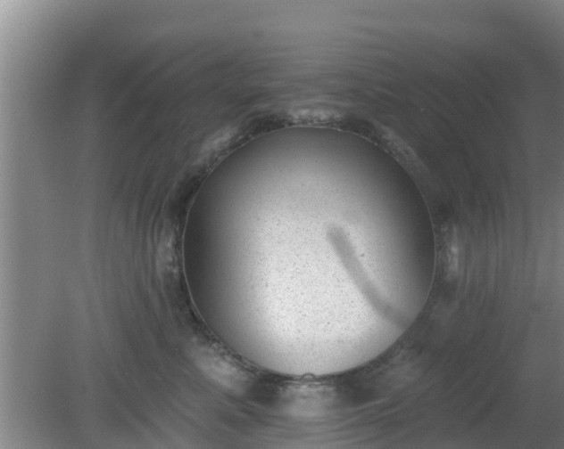 X0000080180619200612151950