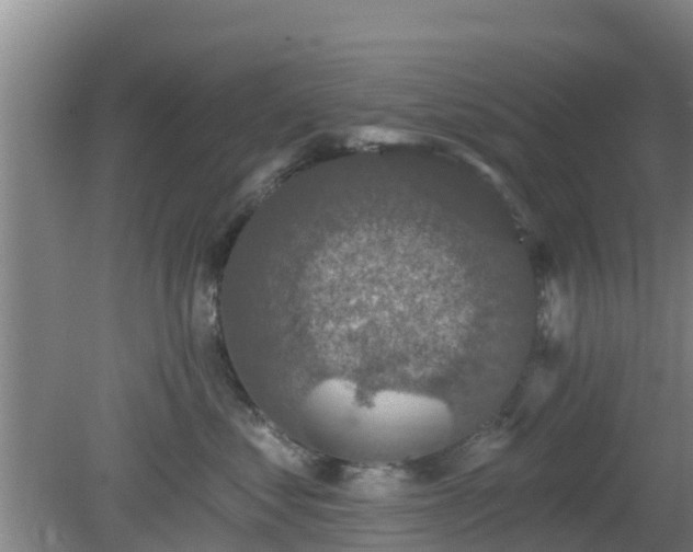 X0000080180621200612151950