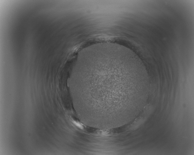 X0000080180624200612151950