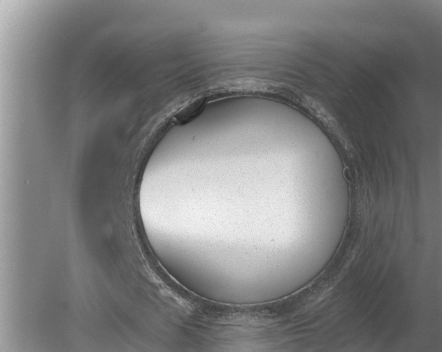 X0000080180625200612151949