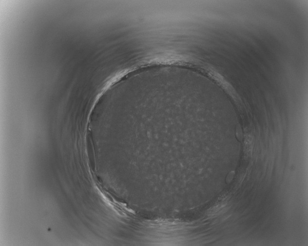 X0000080180626200612151949