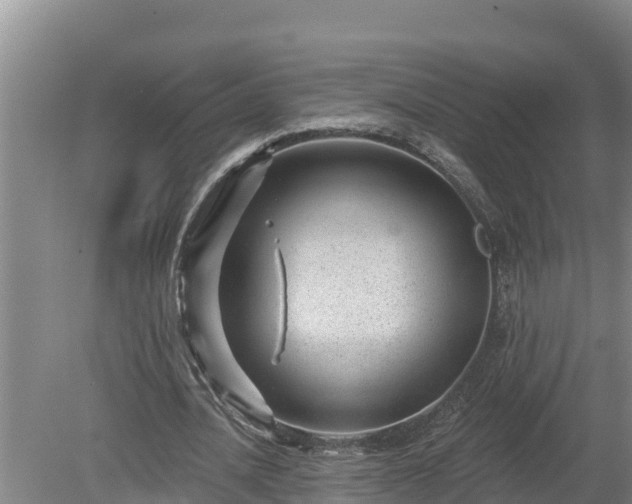 X0000080180628200612151949