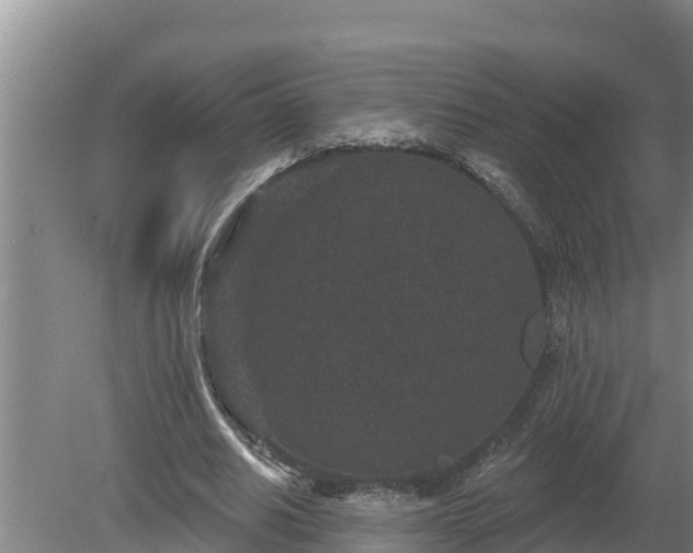 X0000080180630200612151949