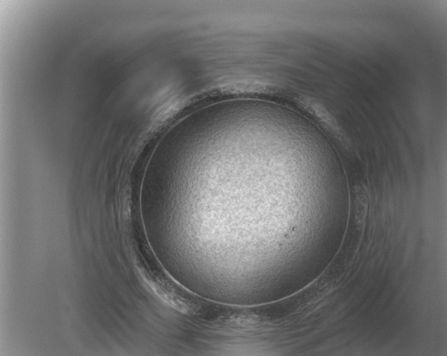 X0000080180631200612151949