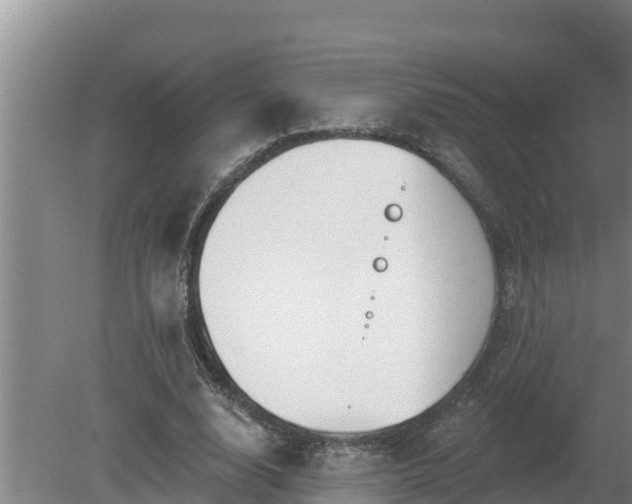 X0000080180632200612151949