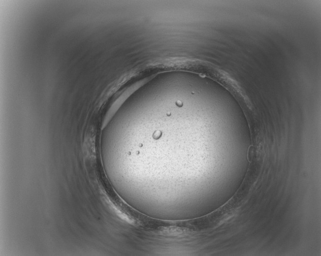 X0000080180633200612151949