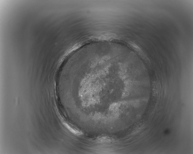 X0000080180634200612151949