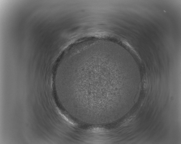 X0000080180637200612151949