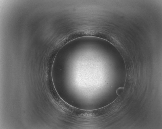 X0000080180639200612151949