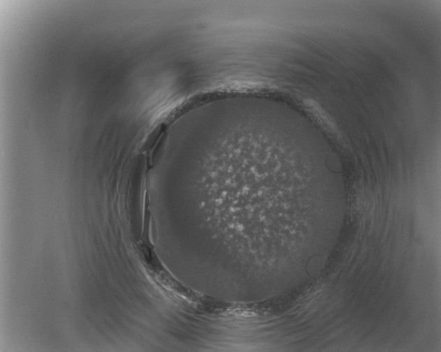 X0000080180640200612151949