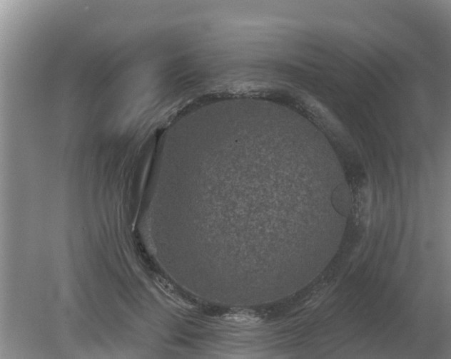 X0000080180644200612151949