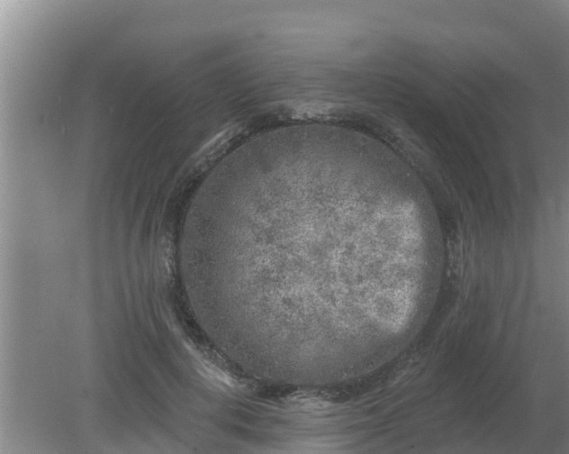 X0000080180648200612151949