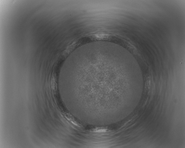 X0000080180651200612151949