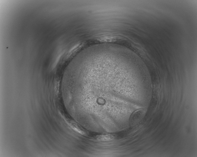 X0000080180652200612151949