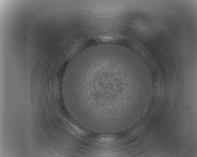 X0000080180653200612151949