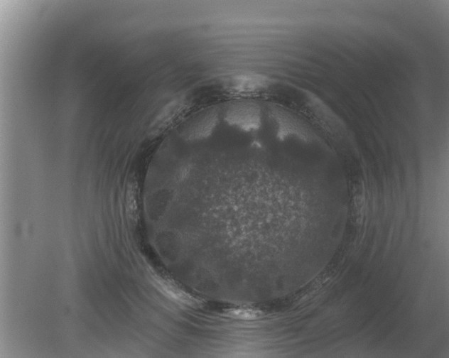 X0000080180654200612151949