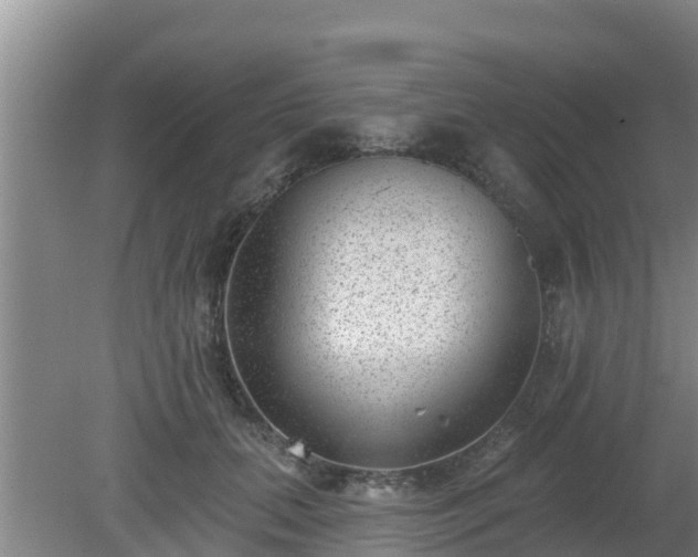 X0000080180655200612151949