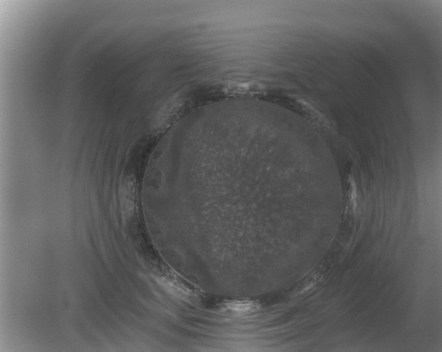 X0000080180659200612151950