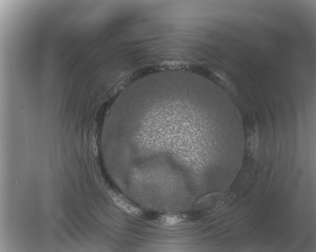 X0000080180662200612151950