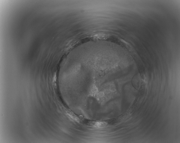 X0000080180663200612151950