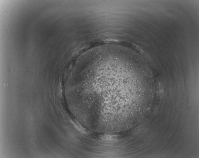 X0000080180664200612151950