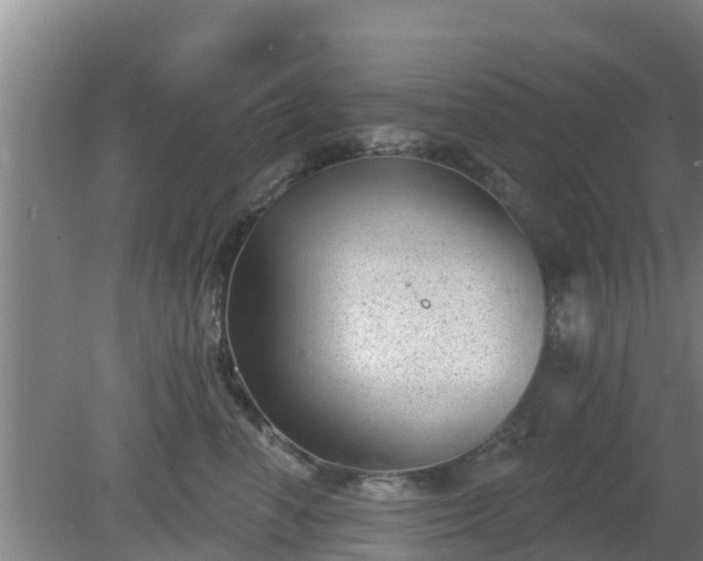 X0000080180666200612151950