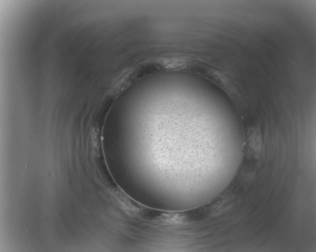 X0000080180667200612151950