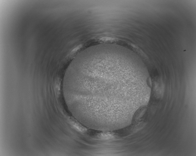 X0000080180668200612151950