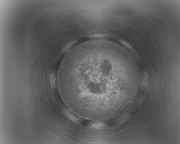 X0000080180669200612151950