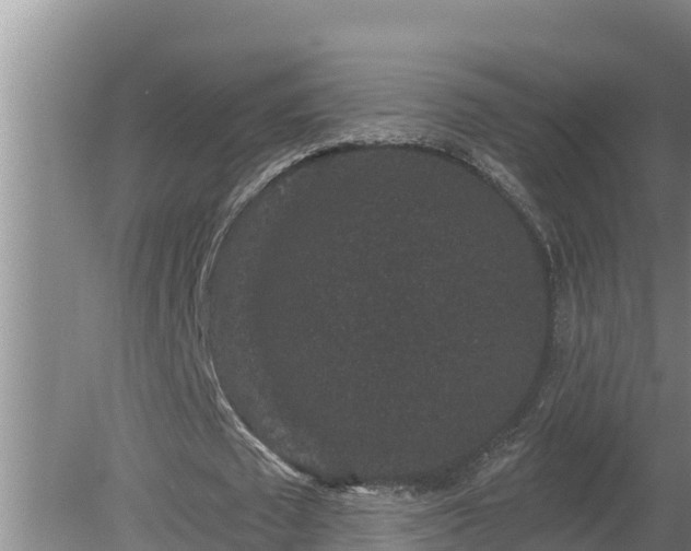 X0000080180673200612151949