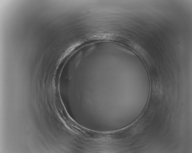 X0000080180674200612151949