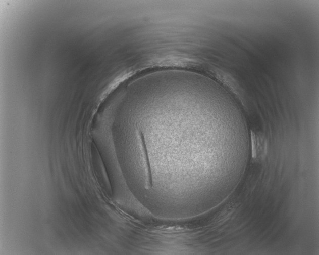 X0000080180675200612151949