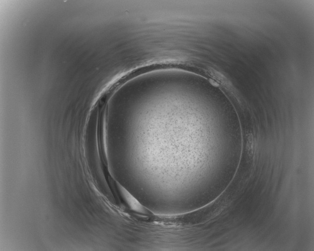 X0000080180676200612151949