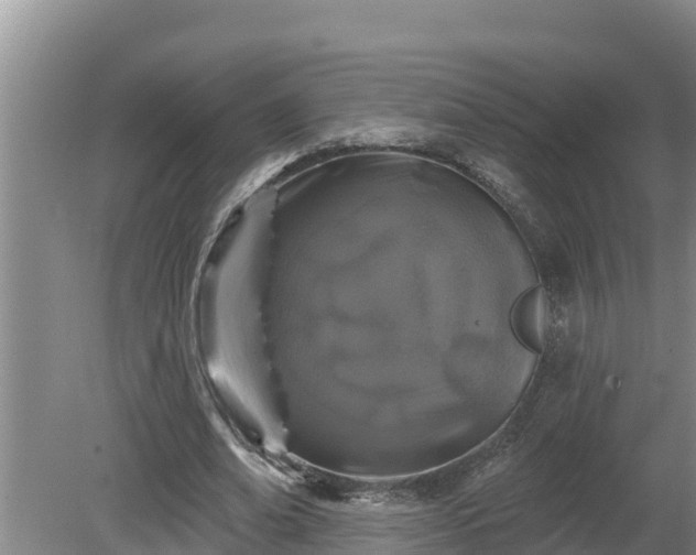 X0000080180678200612151949