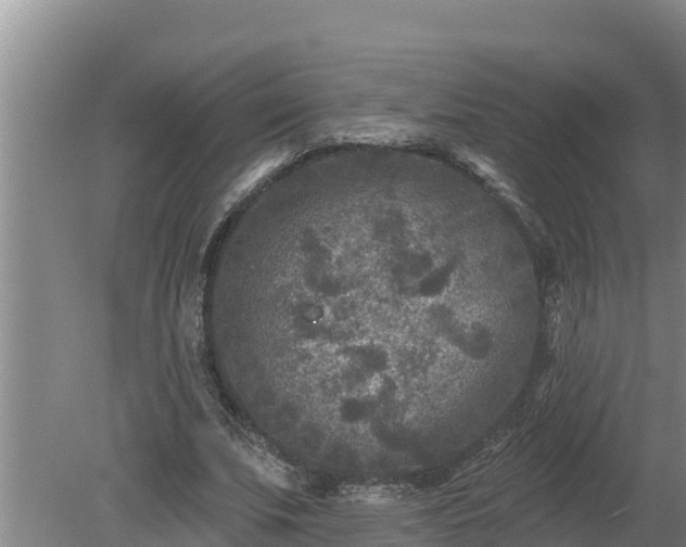 X0000080180679200612151949