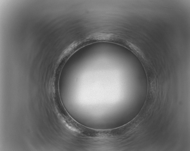 X0000080180682200612151949