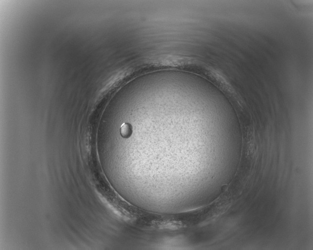 X0000080180683200612151949