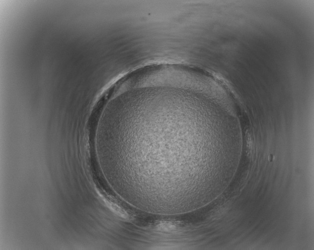 X0000080180684200612151949