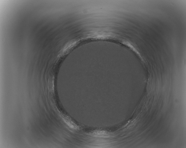 X0000080180685200612151949