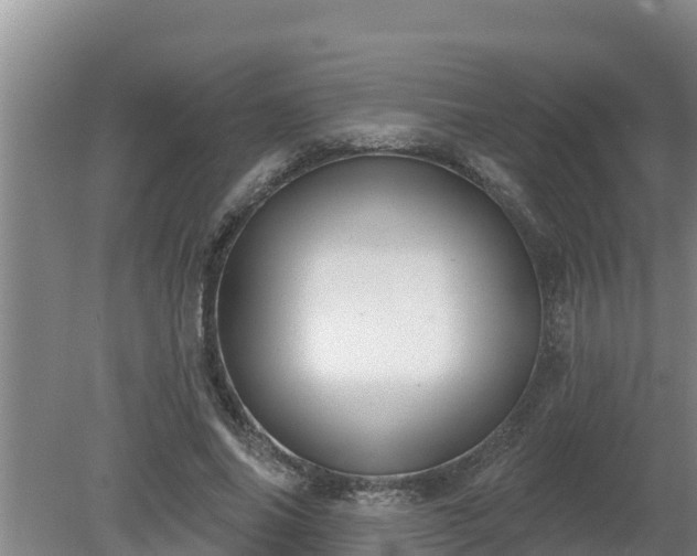 X0000080180686200612151949