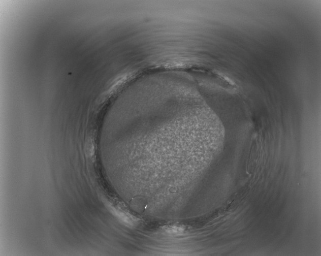 X0000080180687200612151949