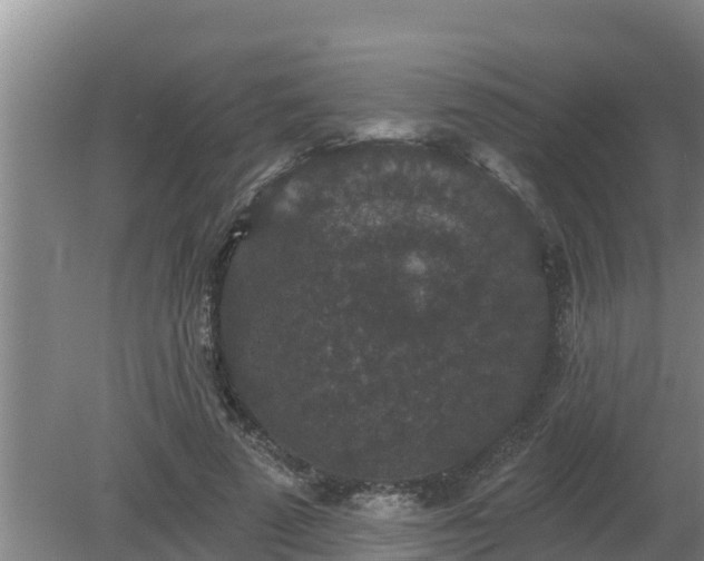 X0000080180689200612151949