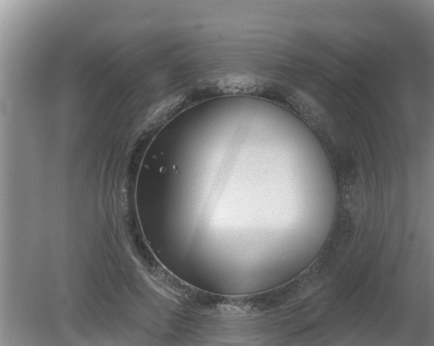 X0000080180690200612151949