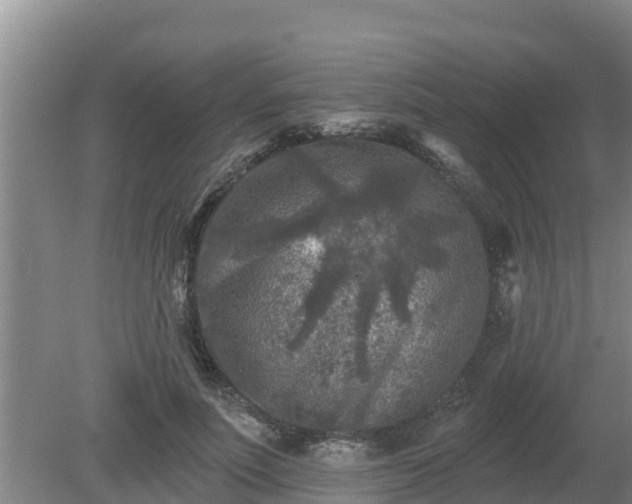 X0000080180691200612151949