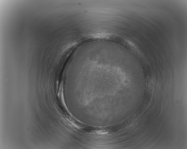 X0000080180692200612151949