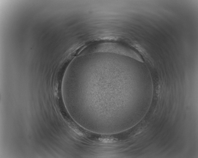 X0000080180693200612151949