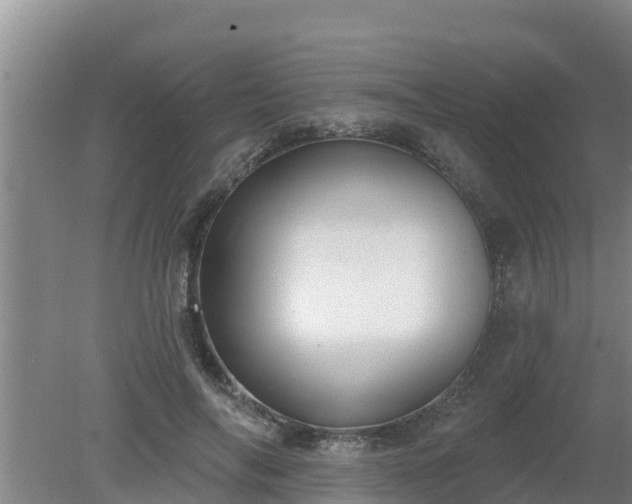 X0000080180694200612151949