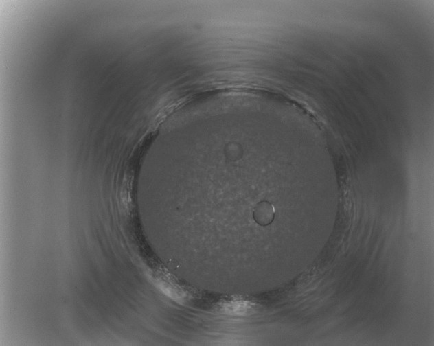 X0000080180695200612151949