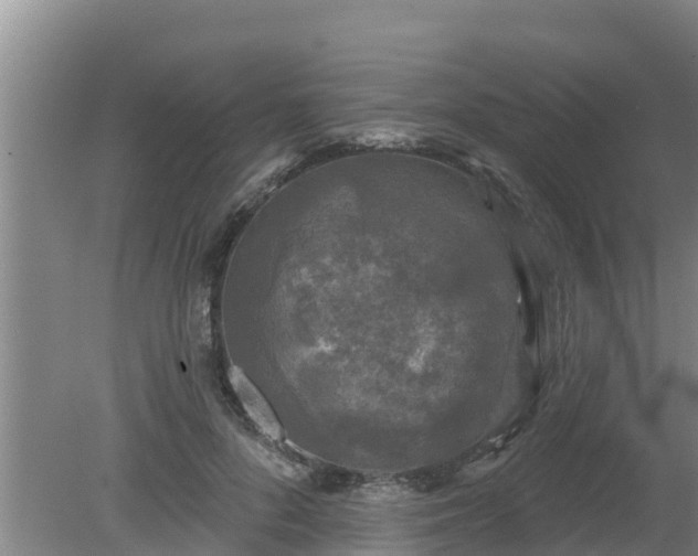 X0000080180696200612151949